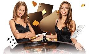 tg89 Live Casino ကတ်ဂိမ်းဒိုင်လာနှင့် ကစားသမားများ